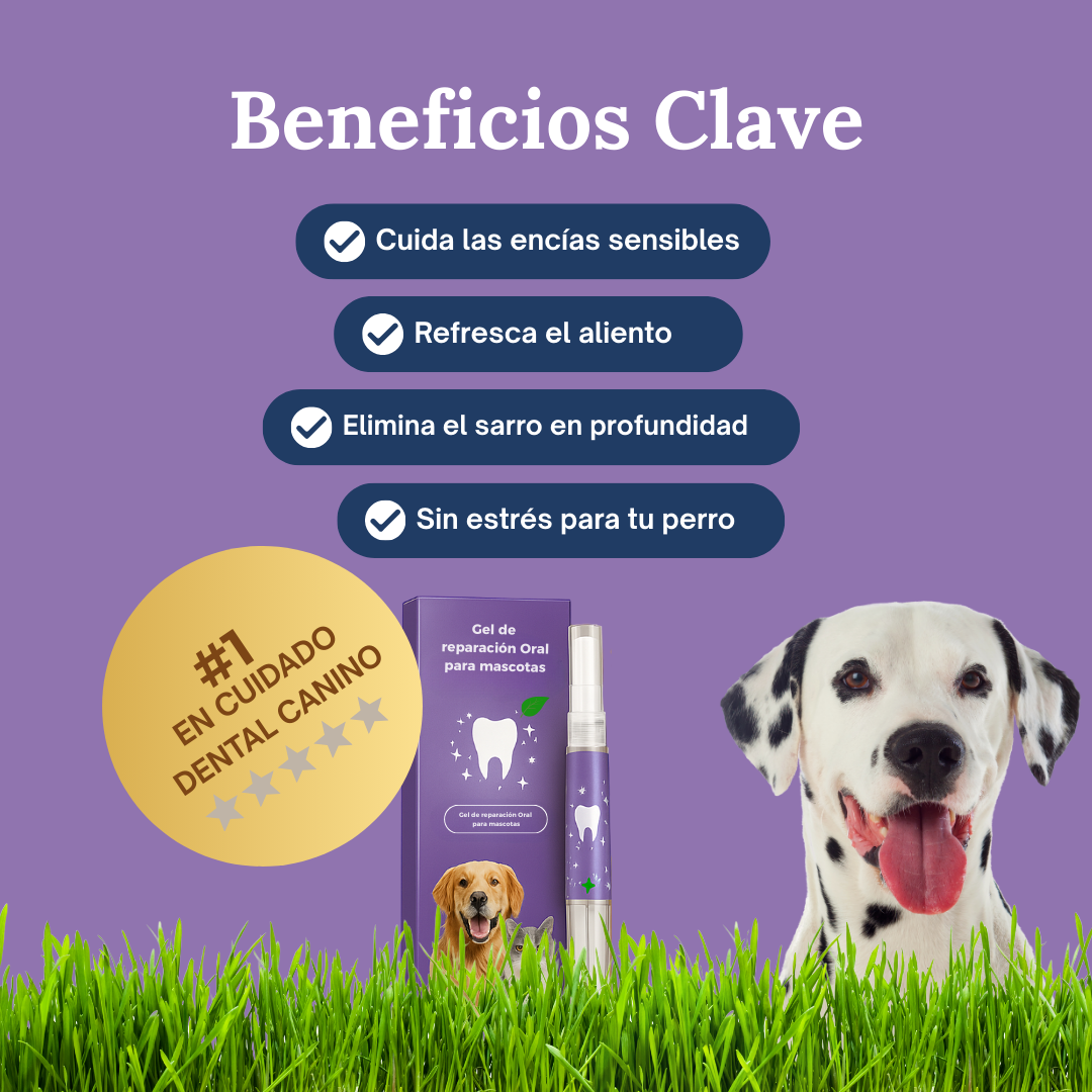 SmilePaws™ - Cuidado Dental nº1 para perros en España