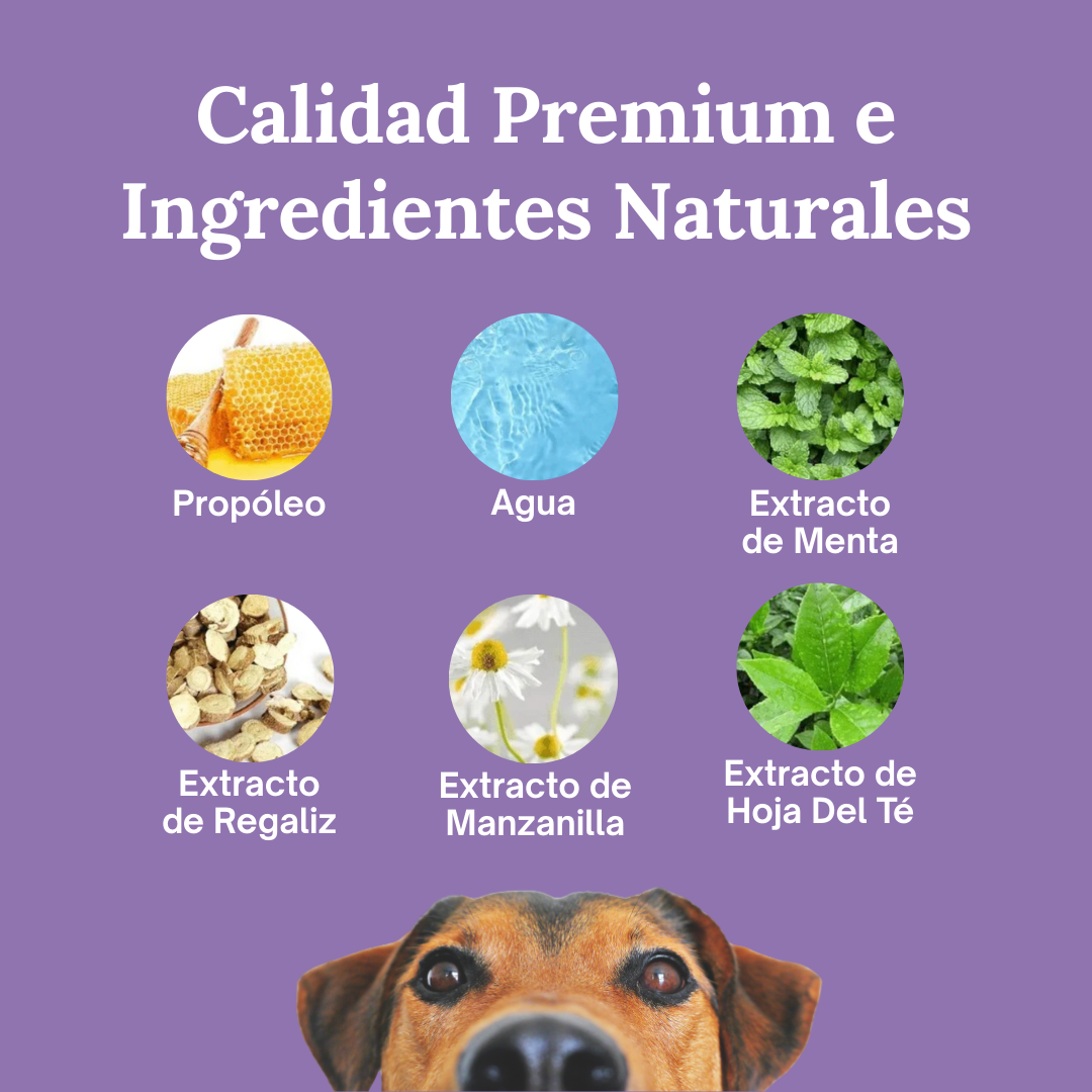 SmilePaws™ - Cuidado Dental nº1 para perros en España