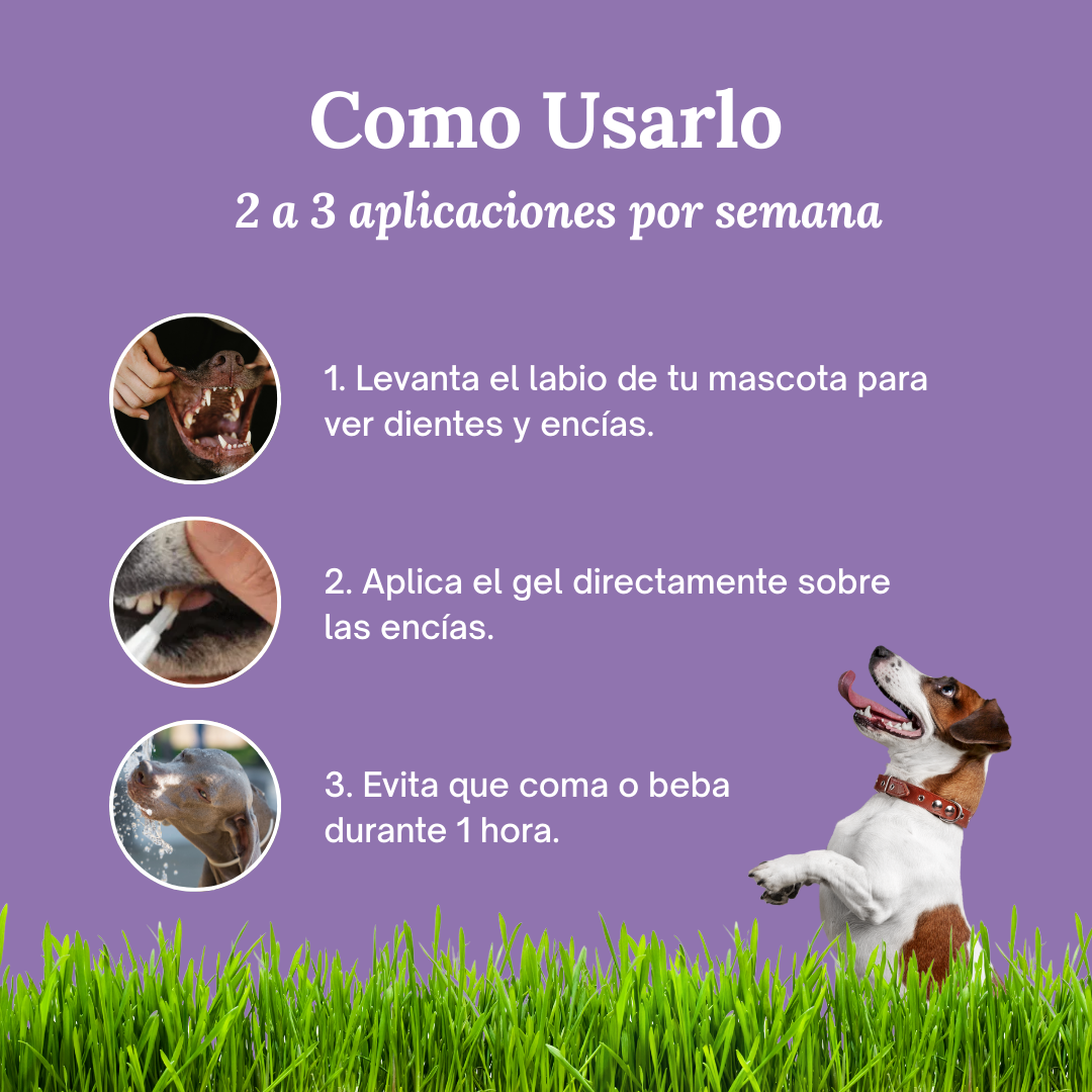 SmilePaws™ - Cuidado Dental nº1 para perros en España