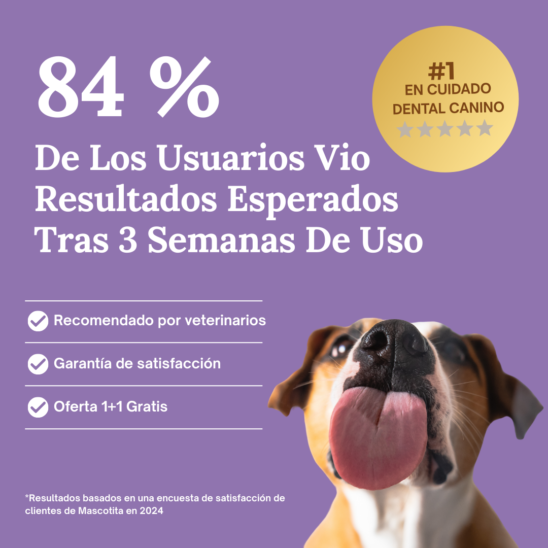 SmilePaws™ - Cuidado Dental nº1 para perros en España